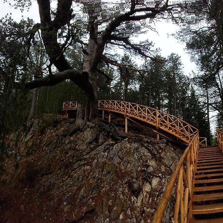 500М. От Лифта Сладък Дом В Белведере Спа Комплекс Bansko Exterior foto